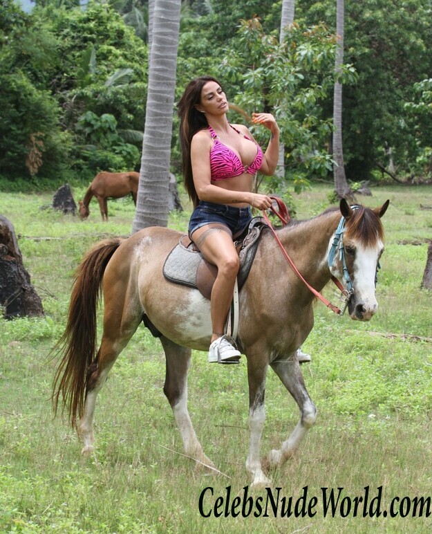 Katie Price Bikini 104139