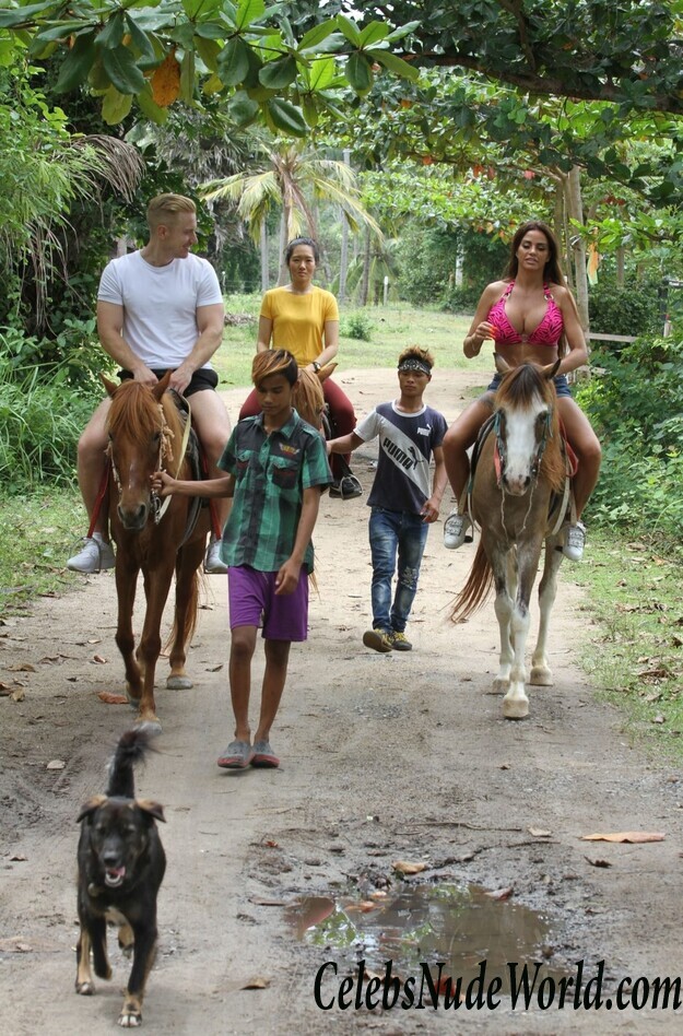 Katie Price Bikini 104155