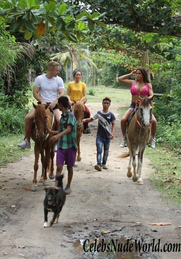 Katie Price Bikini 104157