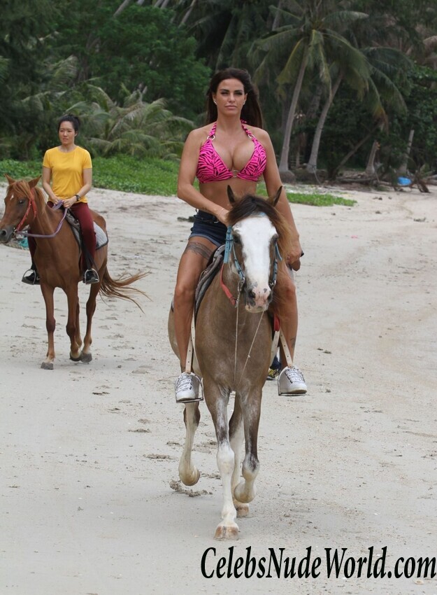 Katie Price Bikini 104195