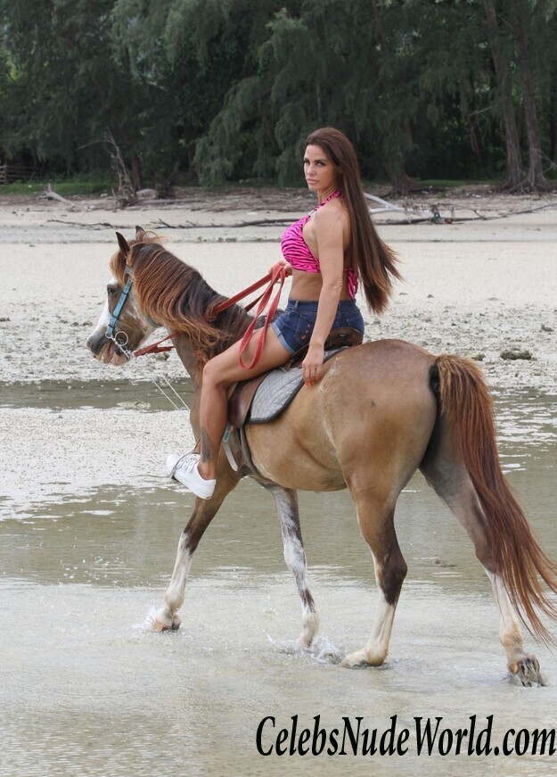Katie Price Bikini 104201