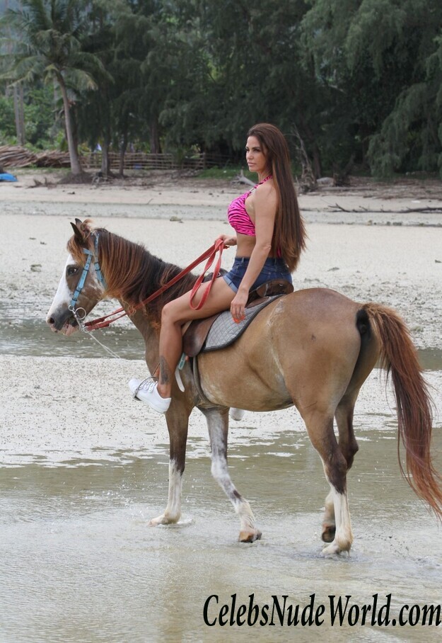 Katie Price Bikini 104205