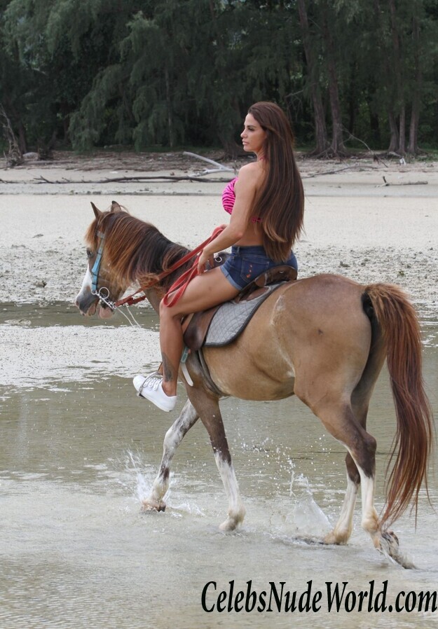 Katie Price Bikini 104209
