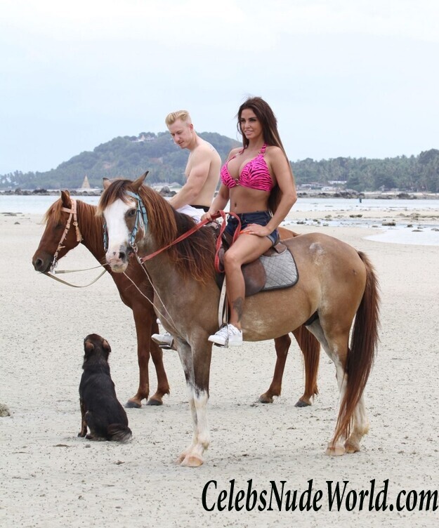 Katie Price Bikini 104213