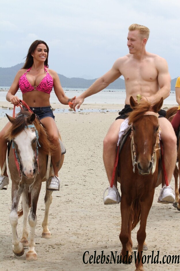Katie Price Bikini 104221
