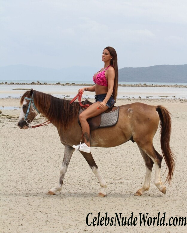 Katie Price Bikini 104225