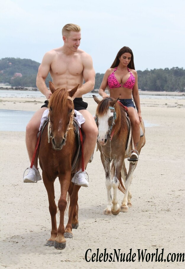 Katie Price Bikini 104227