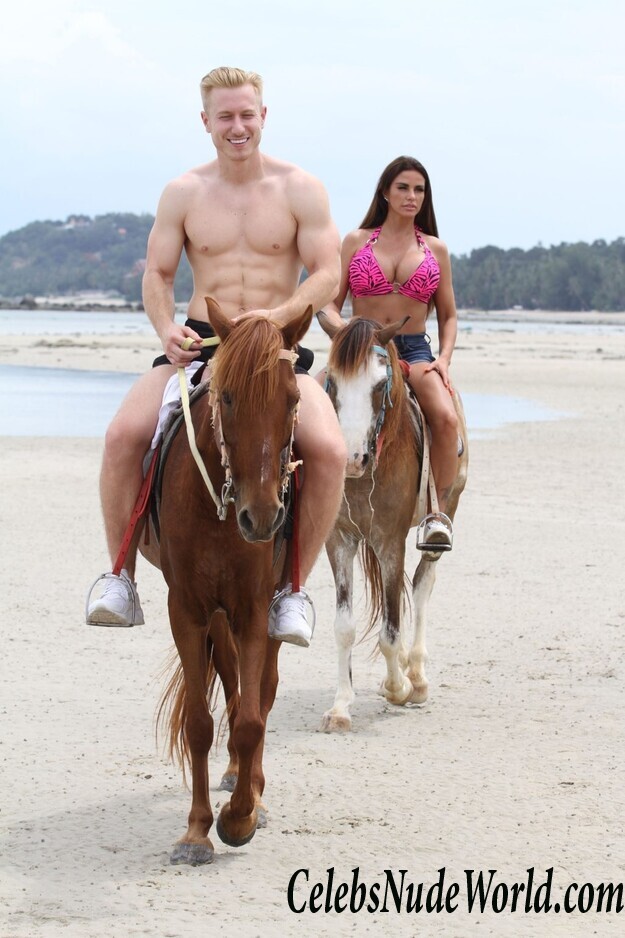 Katie Price Bikini 104242