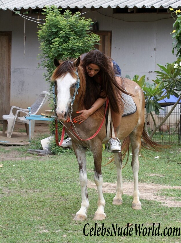 Katie Price Bikini 104248