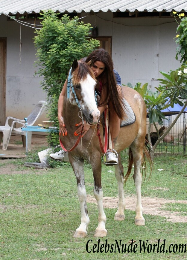 Katie Price Bikini 104252