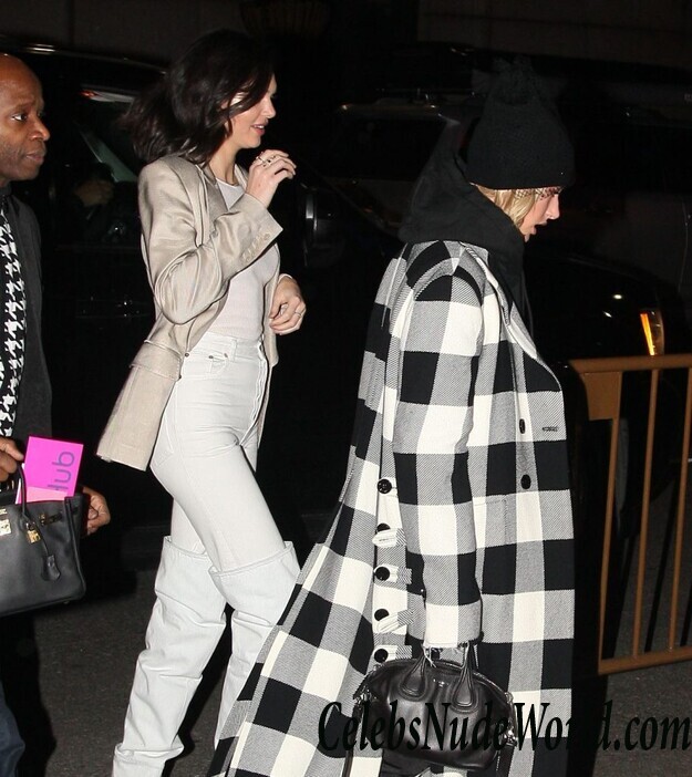 Kendall Jenner See Through 104878