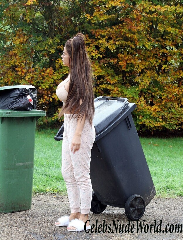 Katie Price Cleavage 105637