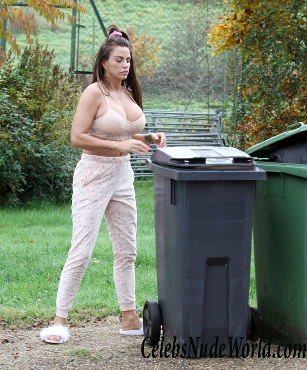 Katie Price Cleavage 105643