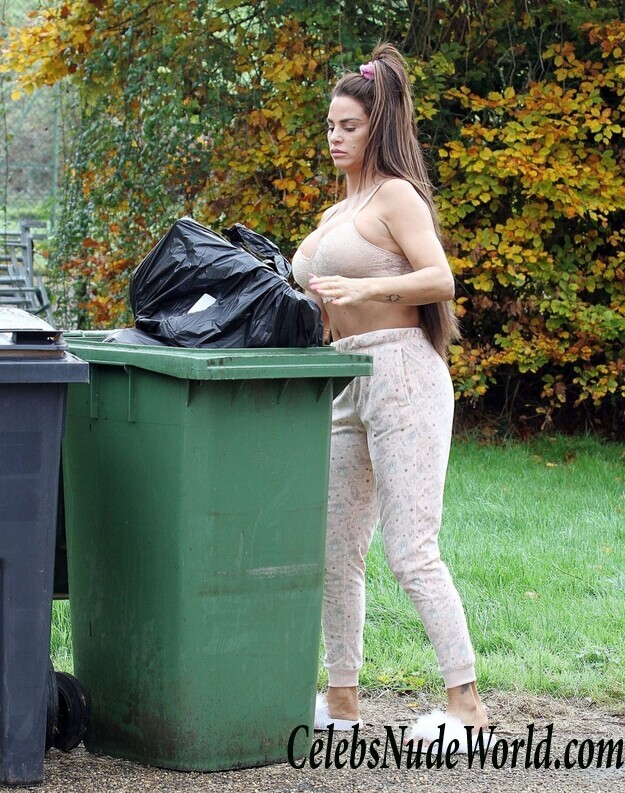 Katie Price Cleavage 105647