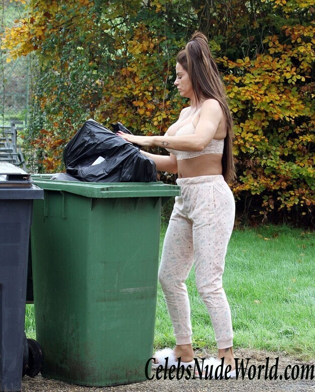 Katie Price Cleavage 105659