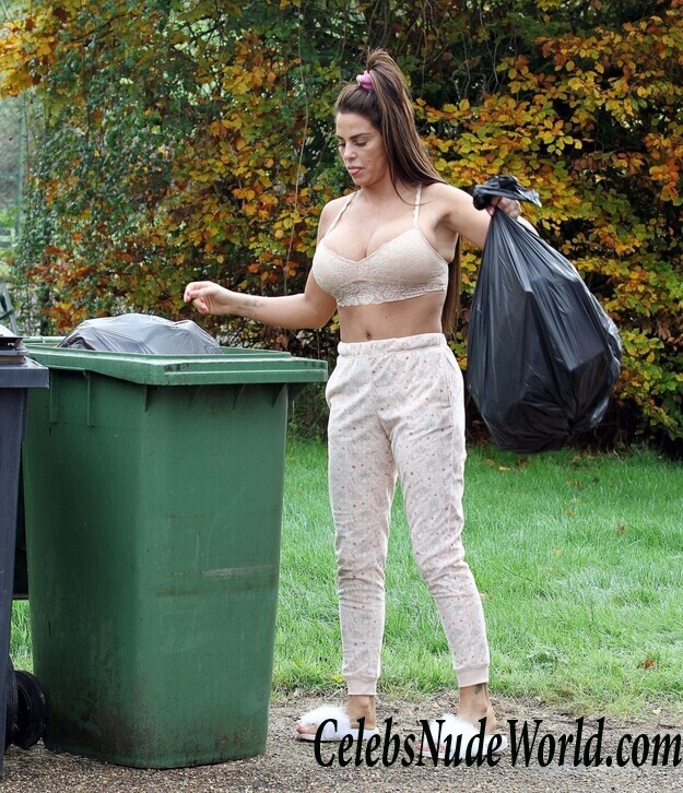 Katie Price Cleavage 105671