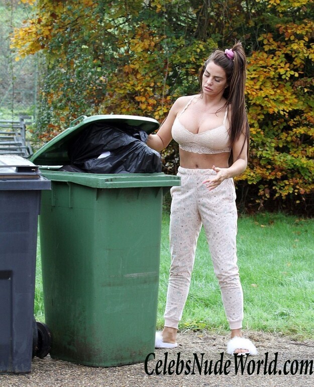 Katie Price Cleavage 105687