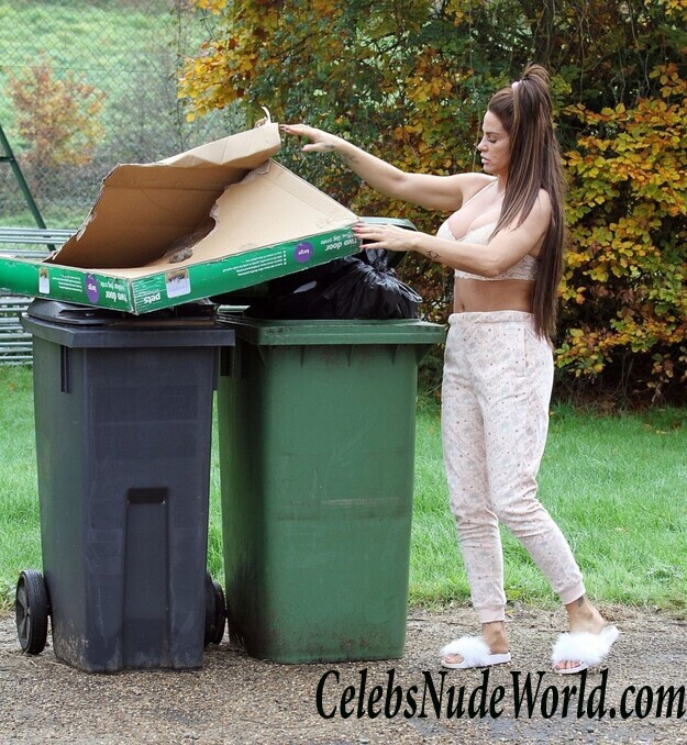 Katie Price Cleavage 105695