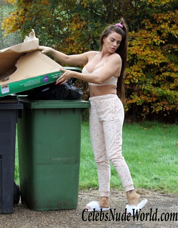 Katie Price Cleavage 105699