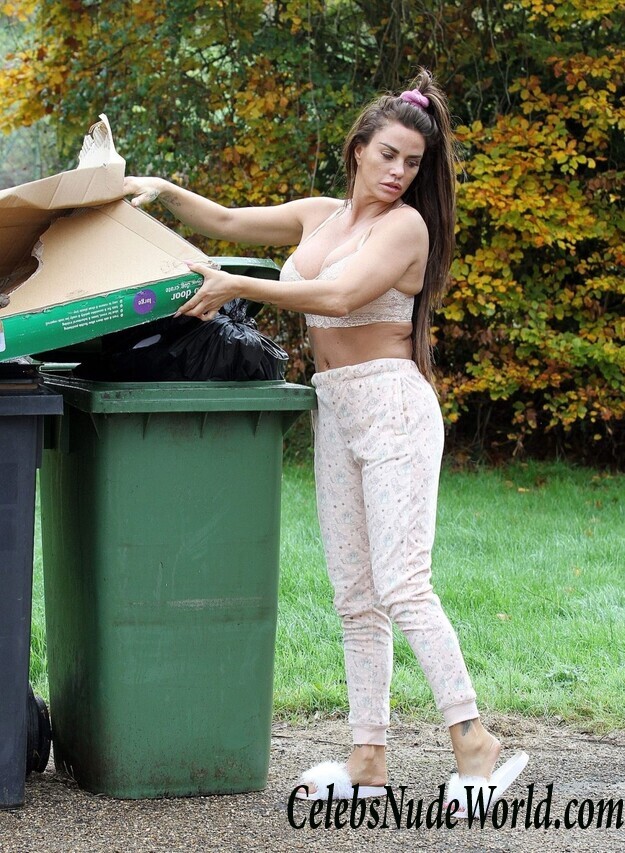 Katie Price Cleavage 105701