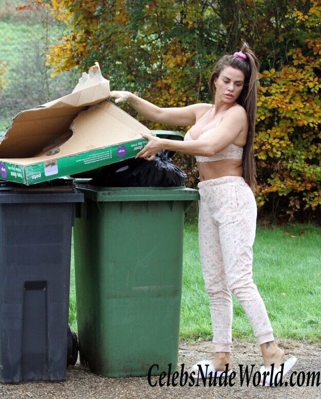 Katie Price Cleavage 105705