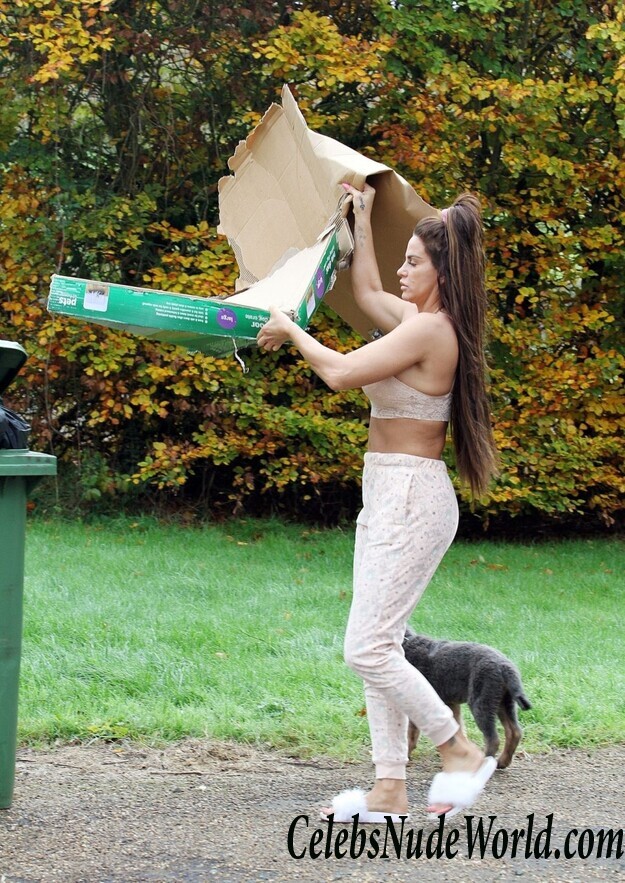 Katie Price Cleavage 105707