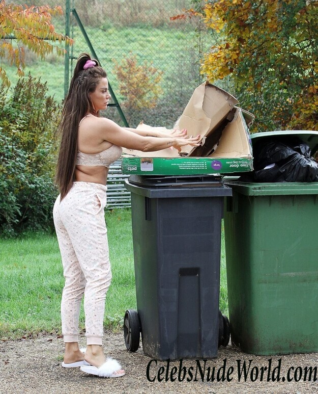Katie Price Cleavage 105709