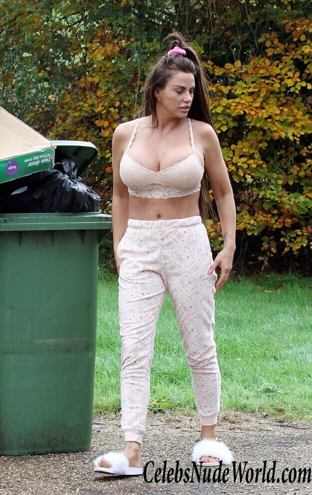 Katie Price Cleavage 105710
