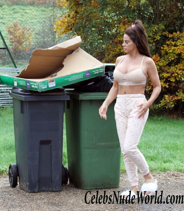 Katie Price Cleavage 105711