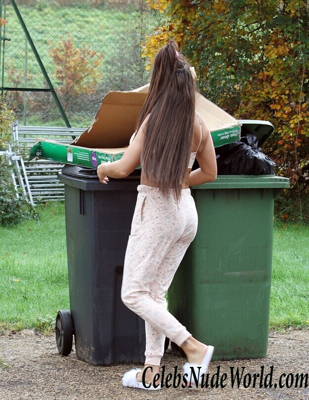 Katie Price Cleavage 105713