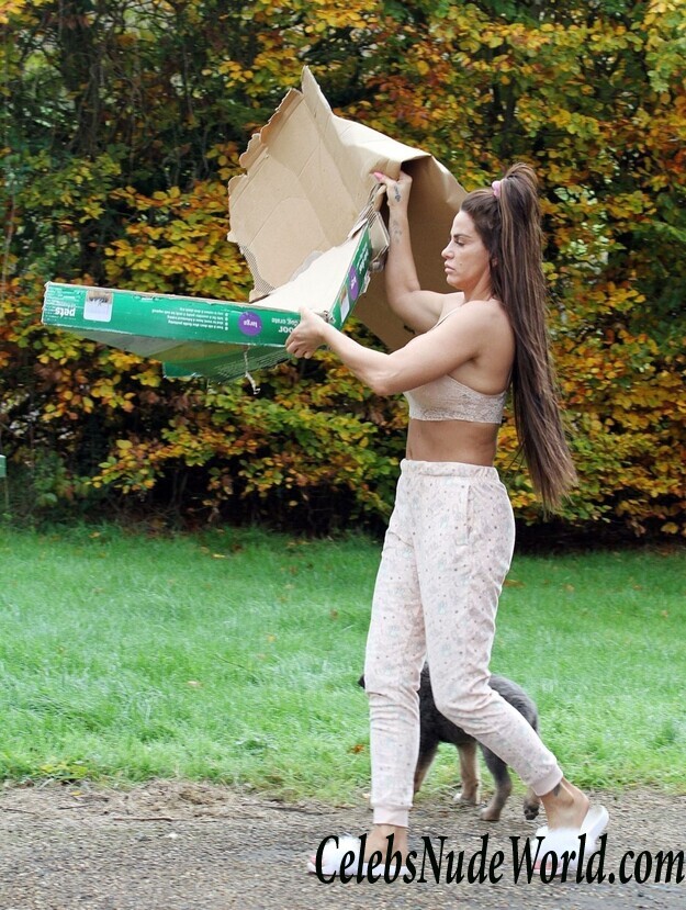 Katie Price Cleavage 105715