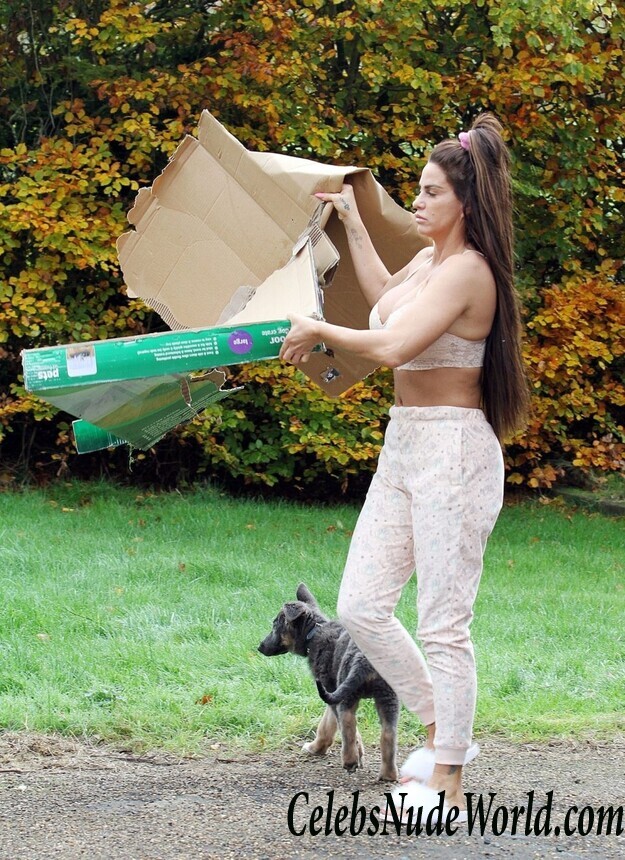 Katie Price Cleavage 105716