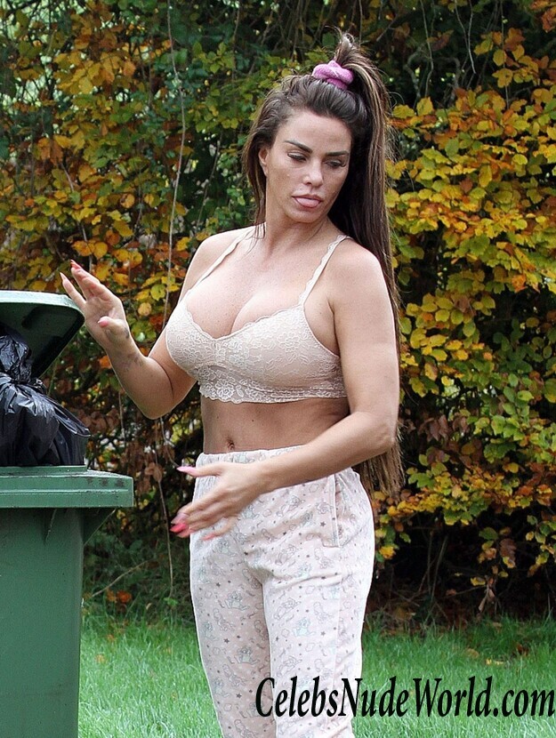Katie Price Cleavage 105718