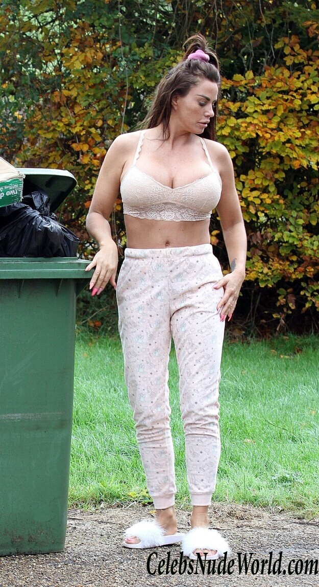Katie Price Cleavage 105719