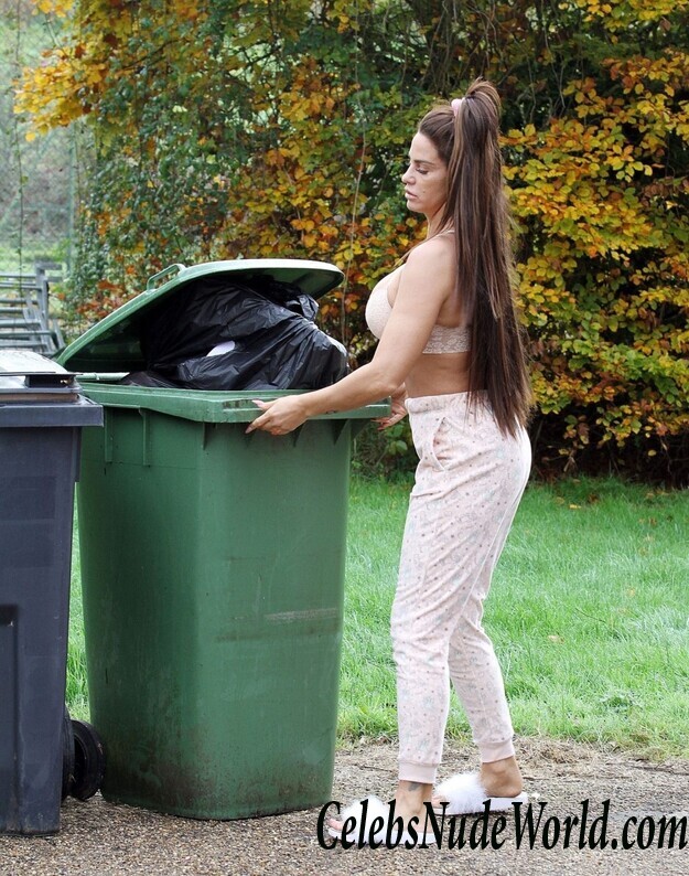 Katie Price Cleavage 105720