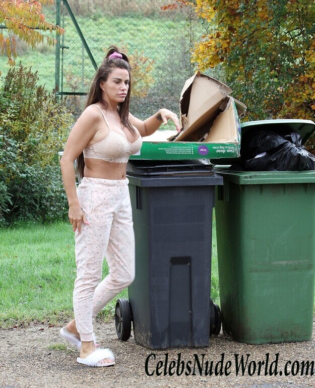 Katie Price Cleavage 105724