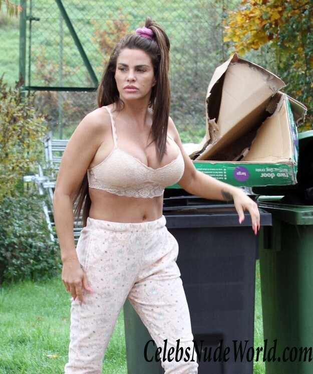 Katie Price Cleavage 105726