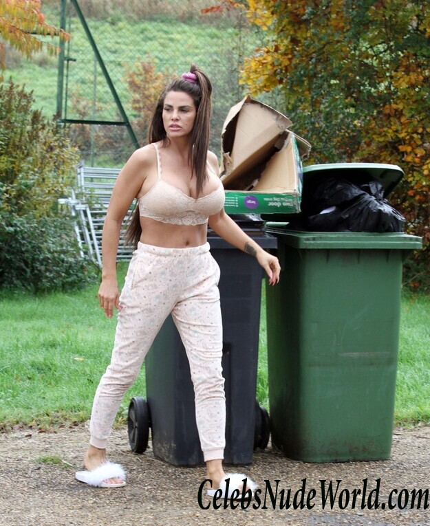 Katie Price Cleavage 105728