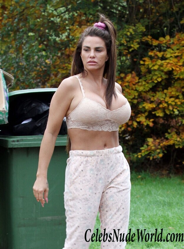 Katie Price Cleavage 105730