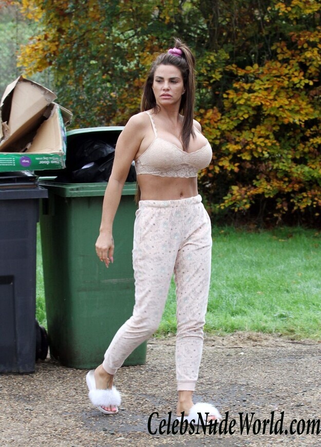 Katie Price Cleavage 105731