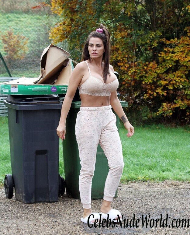 Katie Price Cleavage 105732