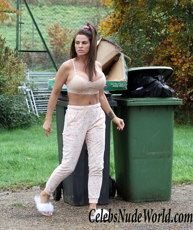 Katie Price Cleavage 105733
