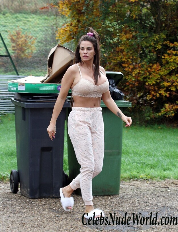 Katie Price Cleavage 105736