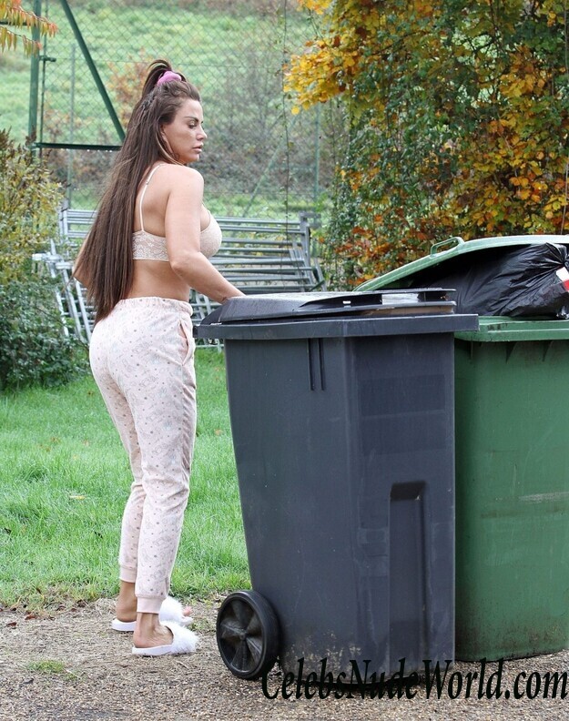 Katie Price Cleavage 105739
