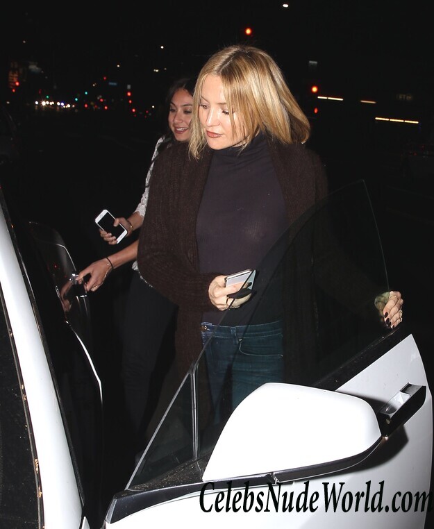 Braless Pics of Kate Hudson 107077