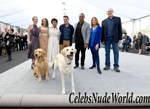 Joey King Cleavage 108850