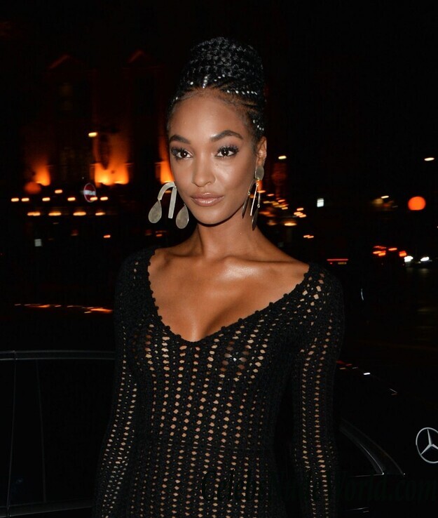 Jourdan Dunn See Through 111294