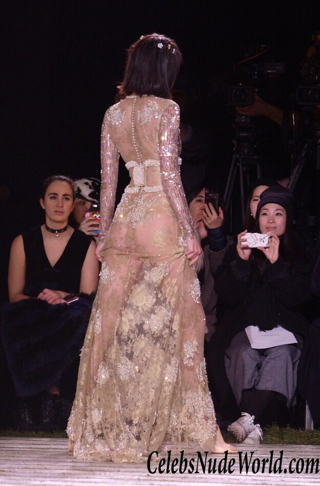 Kendall Jenner See Through Photos 111715