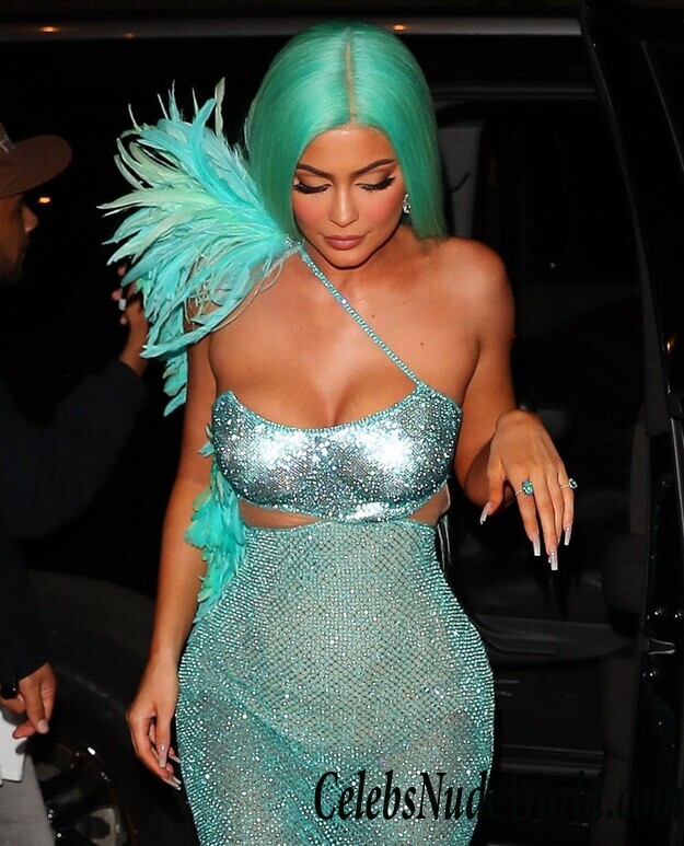 Kylie Jenner See Through 115928