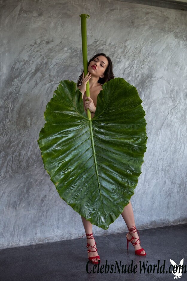 Kit Rysha Naked 116355